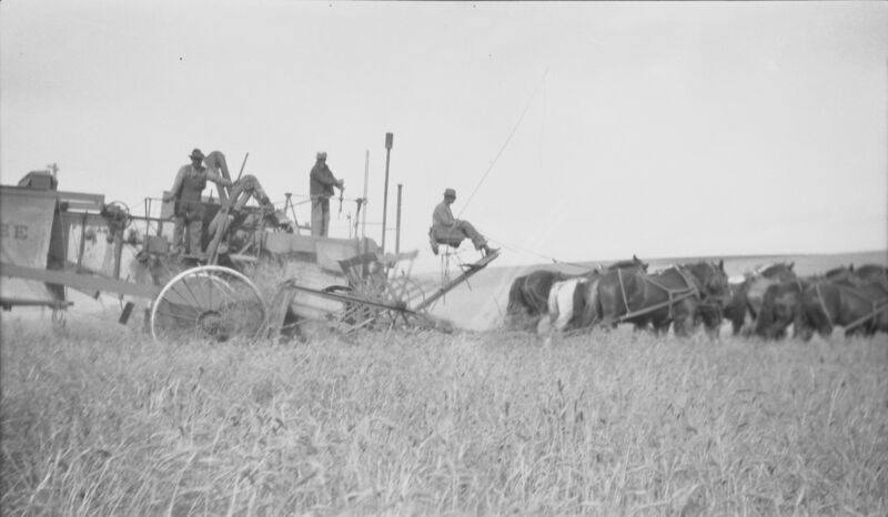 File:1920-1930-ed-021a-horse-powered-case-combined-harvester-1600.jpg