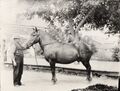 0000-rml-0226-man-with-horse.jpg