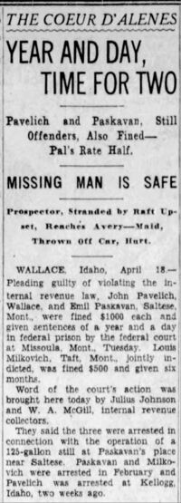 1934-04-19-sr-p23-john-pavelich-pleads-guilty.jpg