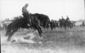 1905-1914-lchs-0018a-mule-day-bronc-riding-1600.jpg