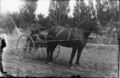 1913-cap-003-man-in-light-buggy-1600.jpg