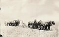 1910-rml-0182a-plowing-000-1600.jpg